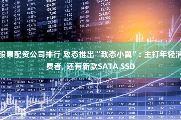 股票配资公司排行 致态推出“致态小翼”: 主打年轻消费者, 还有新款SATA SSD